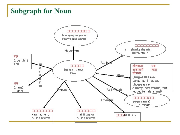 Subgraph for Noun ������ , ��� (chaupaayaa, pashu) Four-legged animal ) Hypernym पछ (puunchh