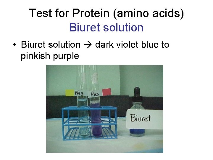 Test for Protein (amino acids) Biuret solution • Biuret solution dark violet blue to