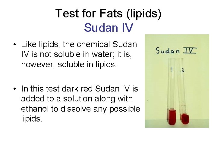 Test for Fats (lipids) Sudan IV • Like lipids, the chemical Sudan IV is