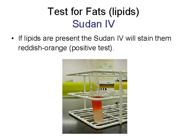 Test for Fats (lipids) Sudan IV • If lipids are present the Sudan IV