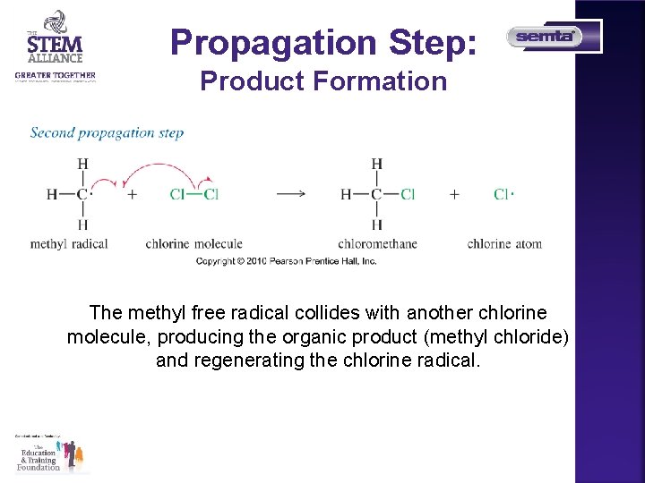 Propagation Step: Product Formation The methyl free radical collides with another chlorine molecule, producing