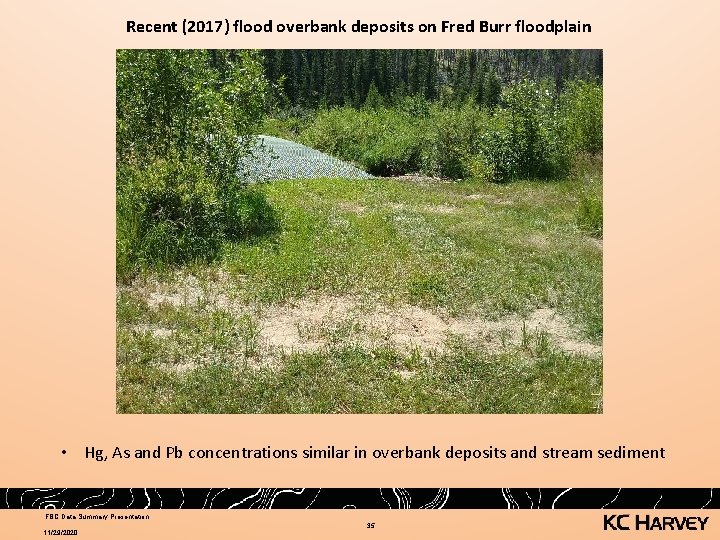 Recent (2017) flood overbank deposits on Fred Burr floodplain • Hg, As and Pb