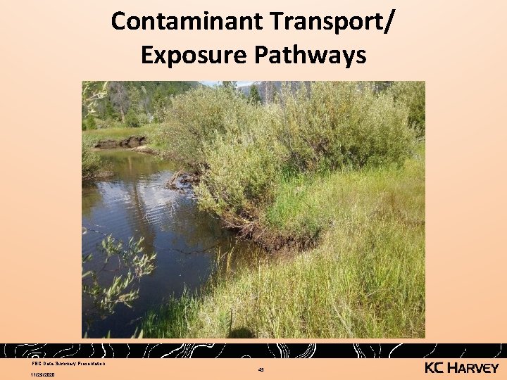 Contaminant Transport/ Exposure Pathways FBC Data Summary Presentation 11/29/2020 43 