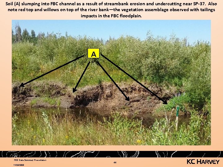 Soil (A) slumping into FBC channel as a result of streambank erosion and undercutting