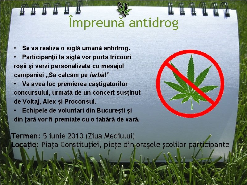 Împreună antidrog • Se va realiza o siglă umană antidrog. • Participanţii la siglă