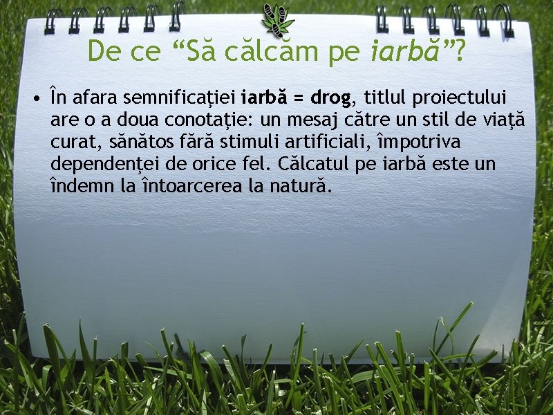 De ce “Să călcăm pe iarbă”? • În afara semnificaţiei iarbă = drog, titlul