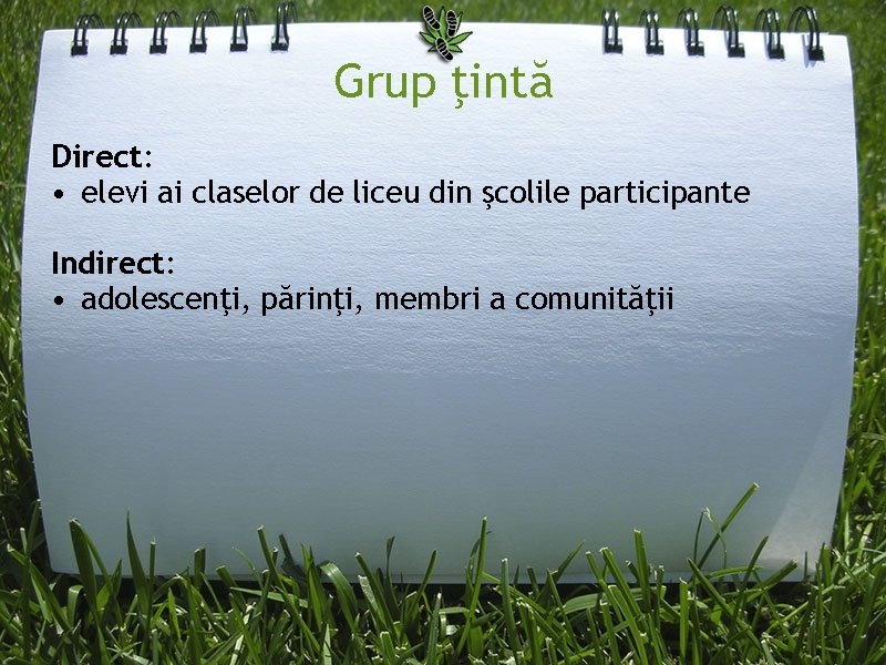Grup ţintă Direct: • elevi ai claselor de liceu din şcolile participante Indirect: •