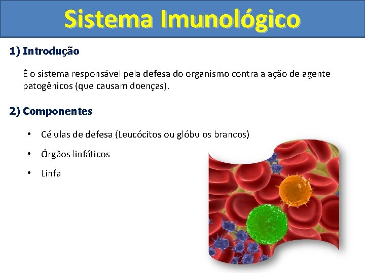 Sistema Imunológico 1) Introdução É o sistema responsável pela defesa do organismo contra a