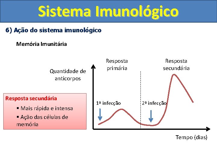 Sistema Imunológico 6) Ação do sistema imunológico Memória Imunitária Quantidade de anticorpos Resposta secundária