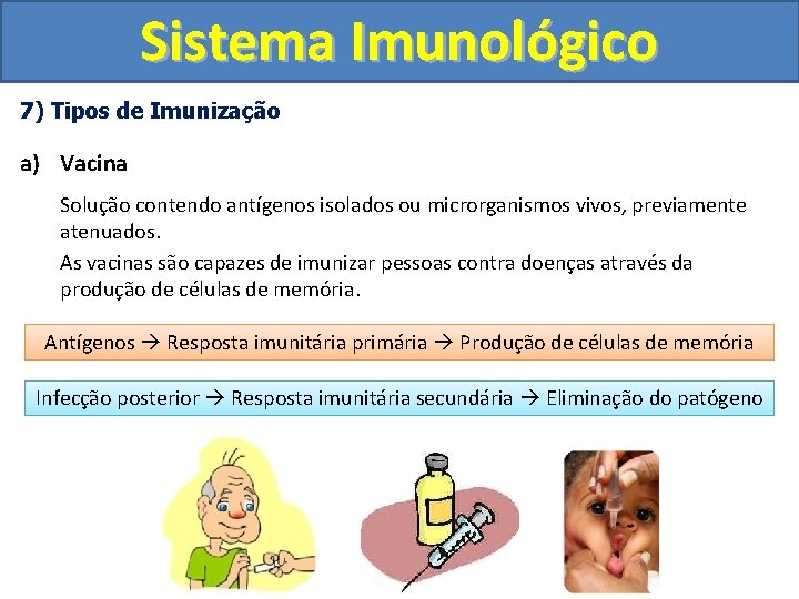 Sistema Imunológico 7) Tipos de Imunização a) Vacina Solução contendo antígenos isolados ou microrganismos