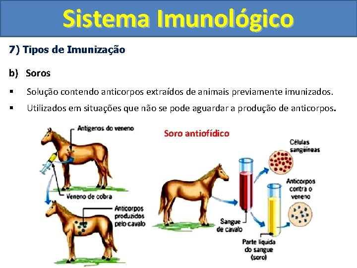 Sistema Imunológico 7) Tipos de Imunização b) Soros § Solução contendo anticorpos extraídos de