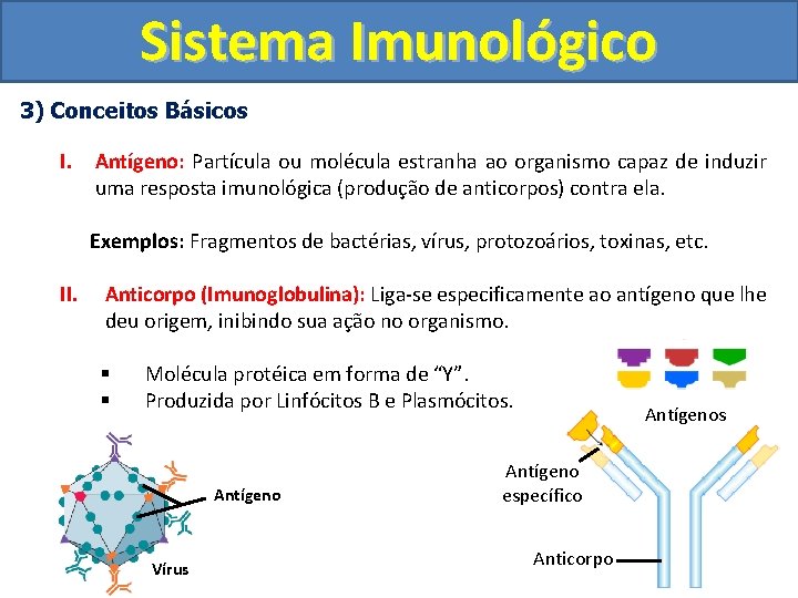Sistema Imunológico 3) Conceitos Básicos I. Antígeno: Partícula ou molécula estranha ao organismo capaz