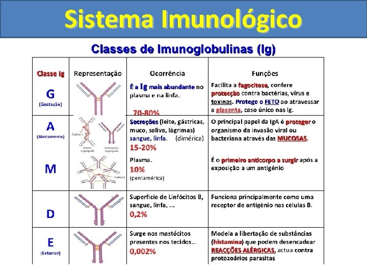 Sistema Imunológico 