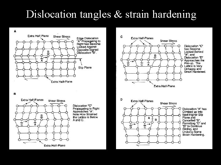 Dislocation tangles & strain hardening 