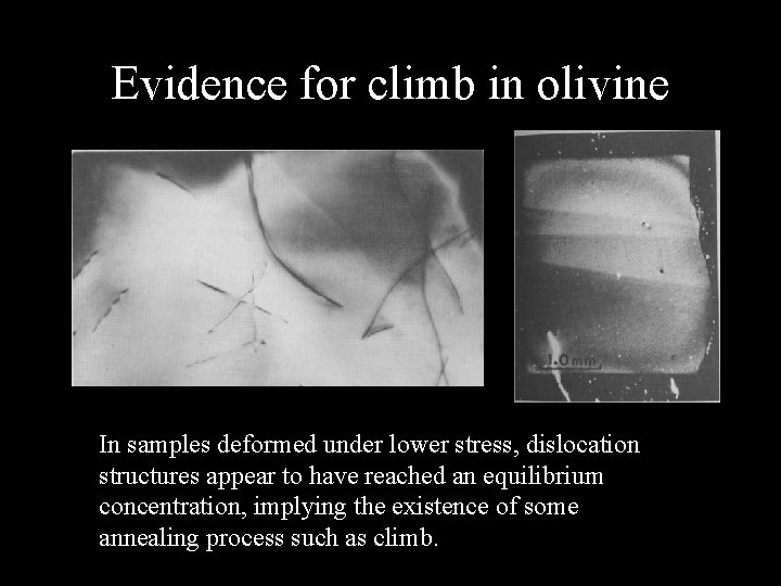 Evidence for climb in olivine In samples deformed under lower stress, dislocation structures appear