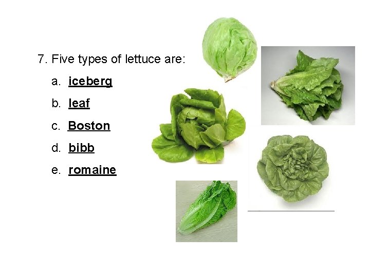 7. Five types of lettuce are: a. iceberg b. leaf c. Boston d. bibb