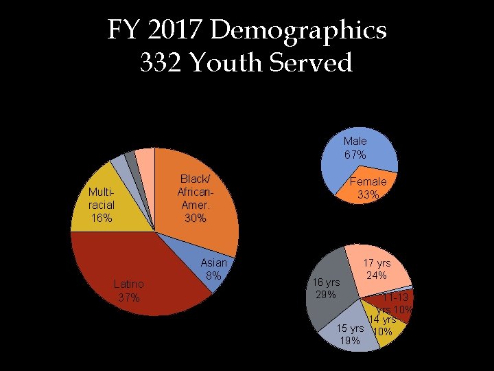 FY 2017 Demographics 332 Youth Served Race/Ethnicity Gender Pacific White Islander 4% Other 2%