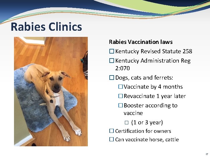 Rabies Clinics Rabies Vaccination laws �Kentucky Revised Statute 258 �Kentucky Administration Reg 2: 070