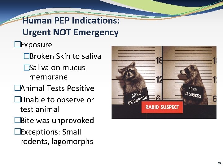 Human PEP Indications: Urgent NOT Emergency �Exposure �Broken Skin to saliva �Saliva on mucus