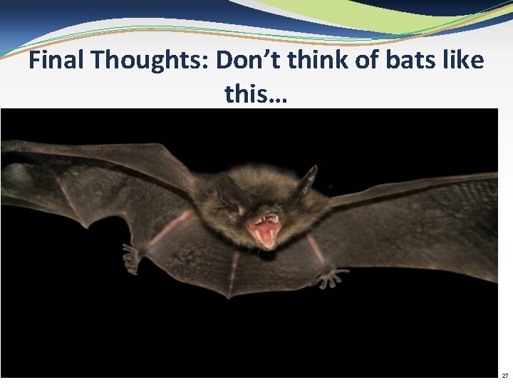 Final Thoughts: Don’t think of bats like this… 27 