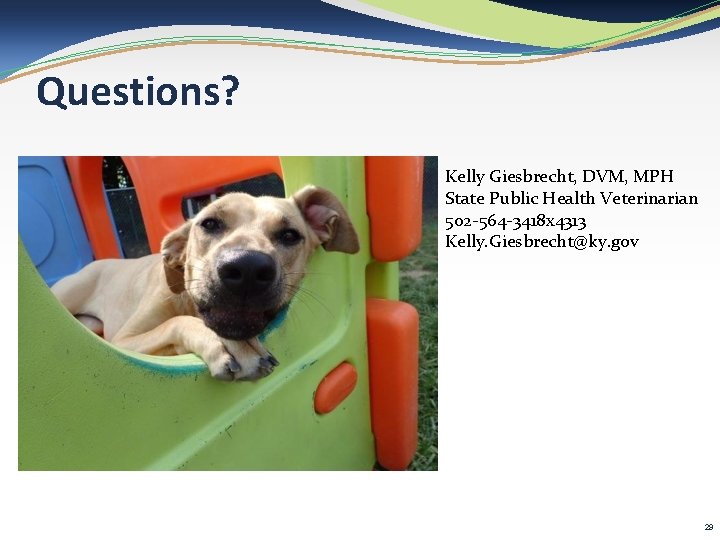 Questions? Kelly Giesbrecht, DVM, MPH State Public Health Veterinarian 502 -564 -3418 x 4313