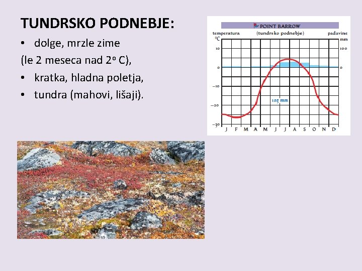 TUNDRSKO PODNEBJE: • dolge, mrzle zime (le 2 meseca nad 2 o C), • TUNDRSKO PODNEBJE: • dolge, mrzle zime (le 2 meseca nad 2 o C), •