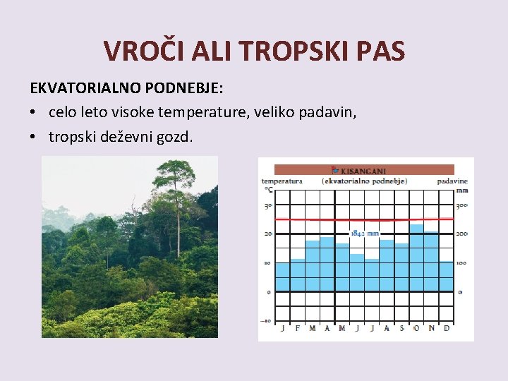 VROČI ALI TROPSKI PAS EKVATORIALNO PODNEBJE: • celo leto visoke temperature, veliko padavin, • VROČI ALI TROPSKI PAS EKVATORIALNO PODNEBJE: • celo leto visoke temperature, veliko padavin, •