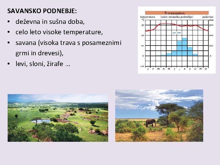 SAVANSKO PODNEBJE: • deževna in sušna doba, • celo leto visoke temperature, • savana SAVANSKO PODNEBJE: • deževna in sušna doba, • celo leto visoke temperature, • savana