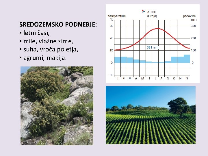 SREDOZEMSKO PODNEBJE: • letni časi, • mile, vlažne zime, • suha, vroča poletja, • SREDOZEMSKO PODNEBJE: • letni časi, • mile, vlažne zime, • suha, vroča poletja, •