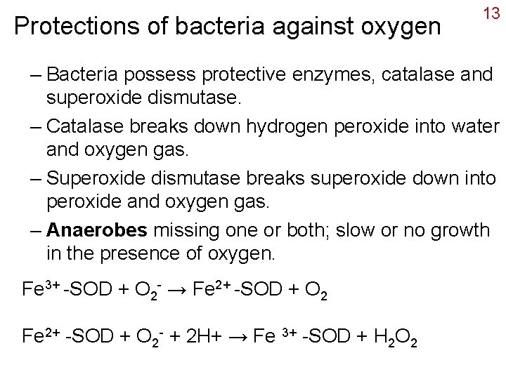 Protections of bacteria against oxygen 13 – Bacteria possess protective enzymes, catalase and superoxide
