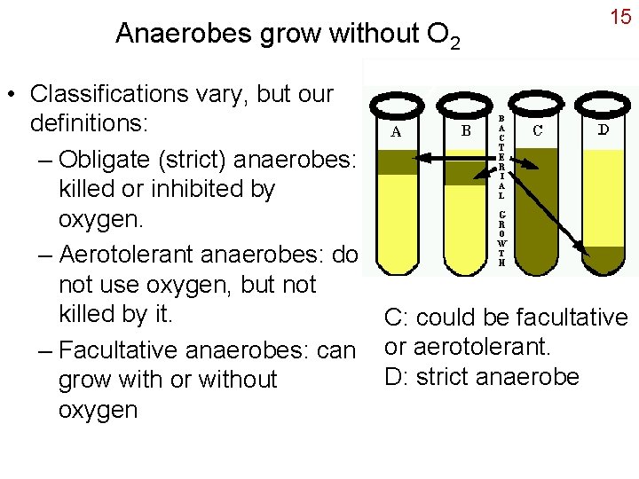 Anaerobes grow without O 2 15 • Classifications vary, but our definitions: – Obligate