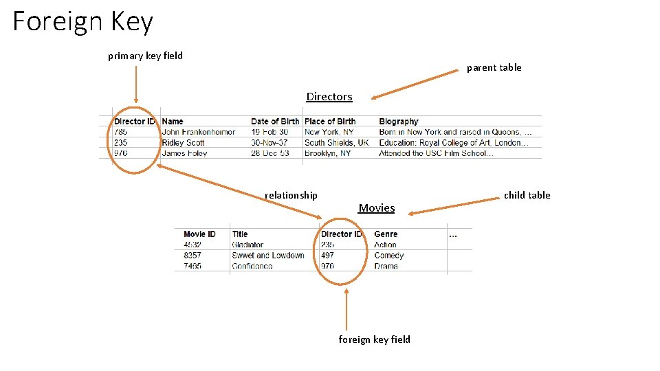 Foreign Key primary key field parent table Directors relationship Movies foreign key field child