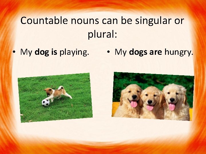 Countable nouns can be singular or plural: • My dog is playing. • My