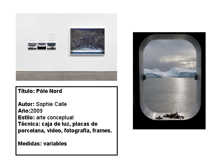 Título: Pôle Nord Autor: Sophie Calle Año: 2009 Estilo: arte conceptual Técnica: caja de