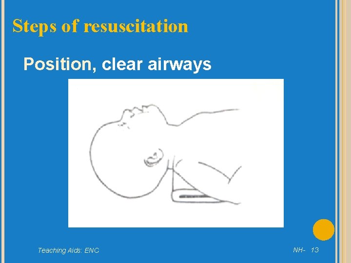 Steps of resuscitation Position, clear airways Teaching Aids: ENC NH- 13 