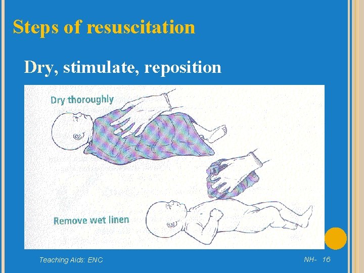 Steps of resuscitation Dry, stimulate, reposition Teaching Aids: ENC NH- 16 