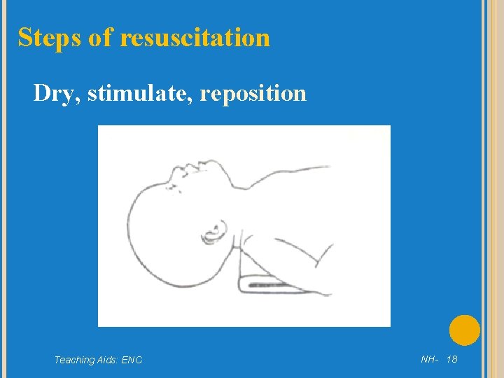 Steps of resuscitation Dry, stimulate, reposition Teaching Aids: ENC NH- 18 