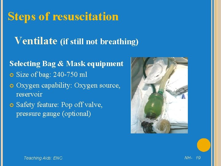 Steps of resuscitation Ventilate (if still not breathing) Selecting Bag & Mask equipment Size