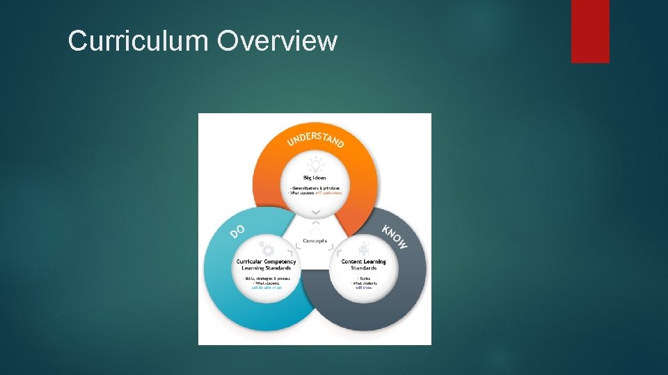 Curriculum Overview 