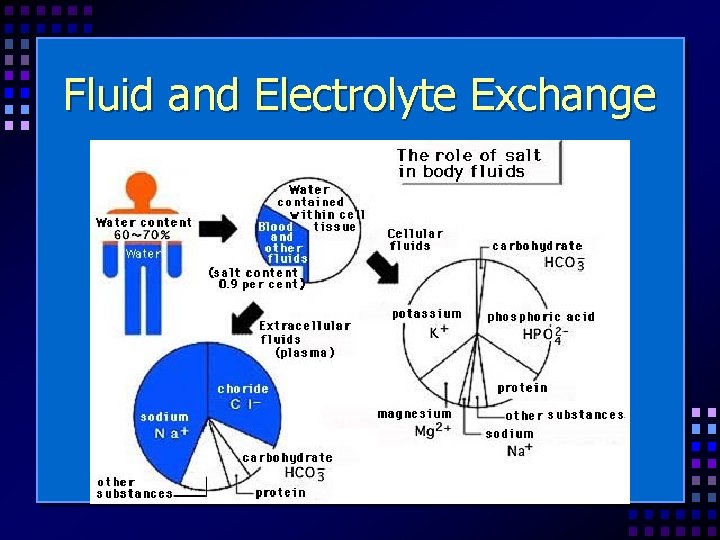 Fluid and Electrolyte Exchange 