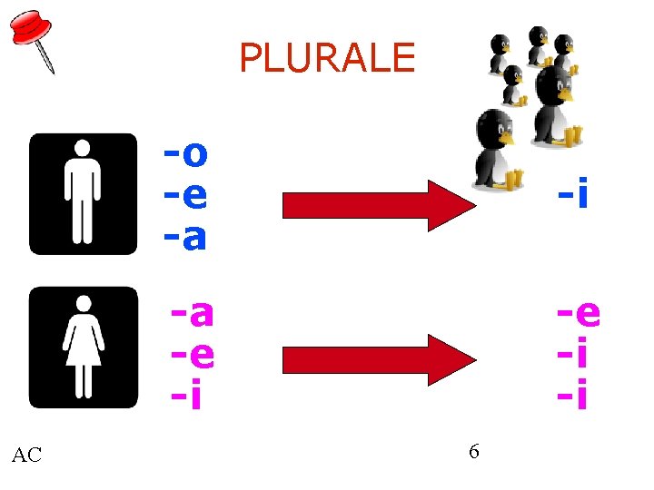 PLURALE AC -o -e -a -i -a -e -i -i 6 