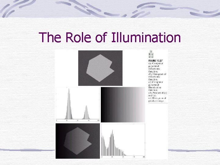 The Role of Illumination 