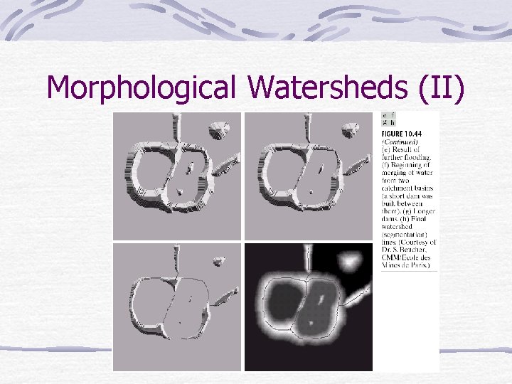 Morphological Watersheds (II) 