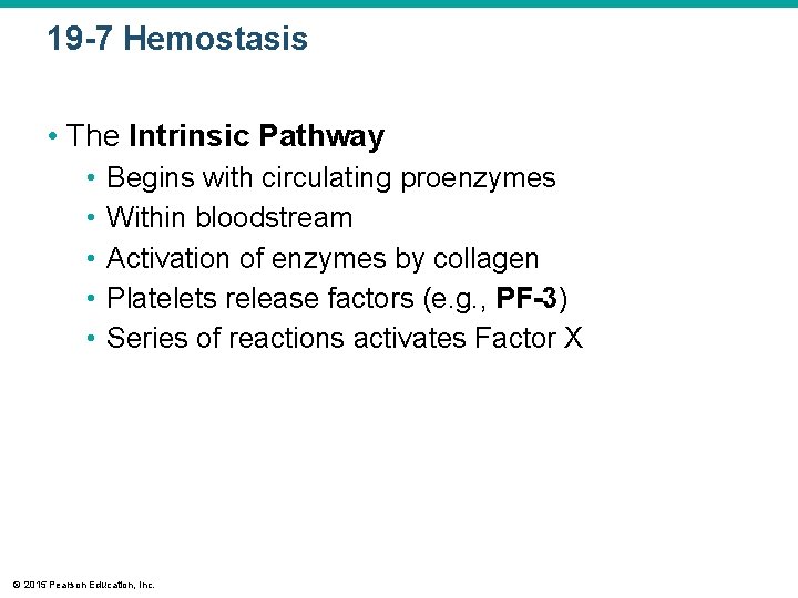 19 -7 Hemostasis • The Intrinsic Pathway • • • Begins with circulating proenzymes