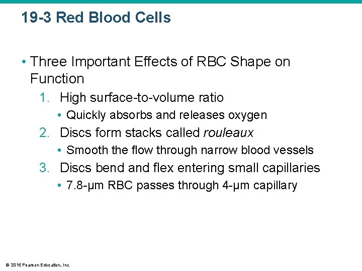 19 -3 Red Blood Cells • Three Important Effects of RBC Shape on Function