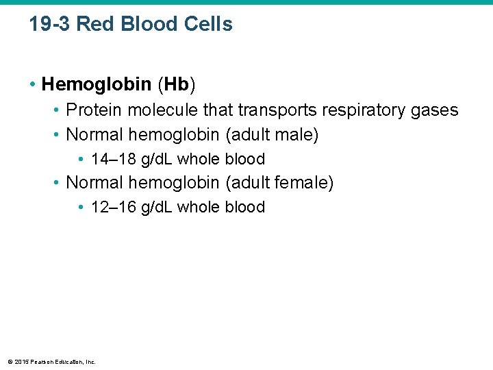 19 -3 Red Blood Cells • Hemoglobin (Hb) • Protein molecule that transports respiratory