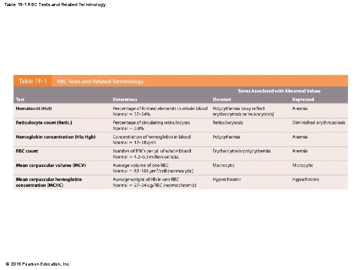 Table 19 -1 RBC Tests and Related Terminology. © 2015 Pearson Education, Inc. 