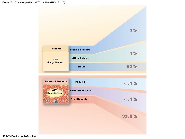 Figure 19 -1 The Composition of Whole Blood (Part 3 of 8). 7% Plasma