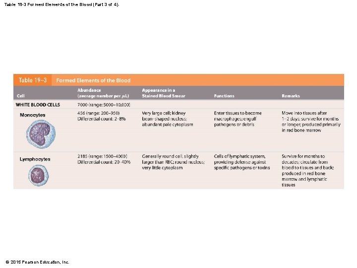 Table 19 -3 Formed Elements of the Blood (Part 3 of 4). © 2015