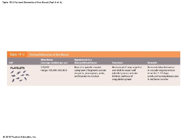 Table 19 -3 Formed Elements of the Blood (Part 4 of 4). © 2015